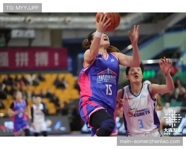付金秋18分17篮板统治内线 武汉女篮62比51战胜黑龙江